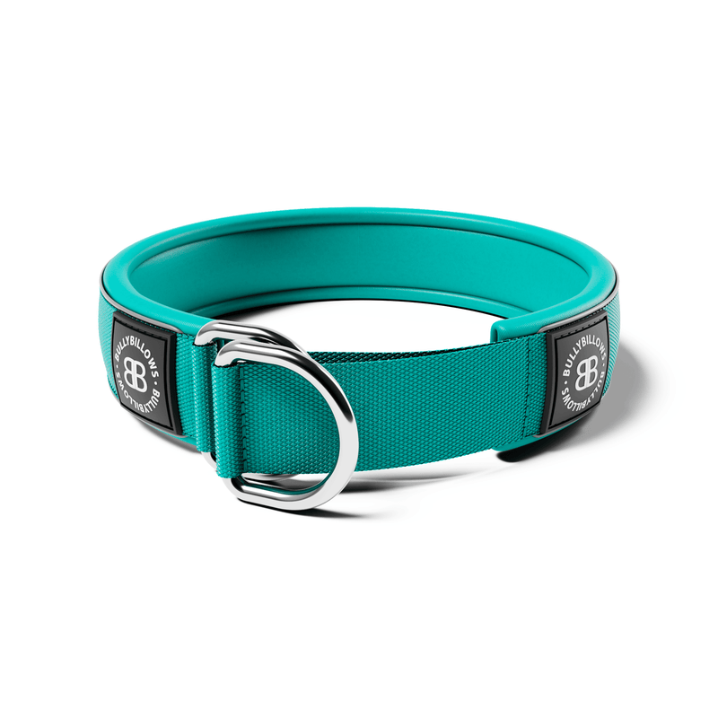 BULLYBILLOWS 5CM SLIP ON COLLAR - TURQUOISE
